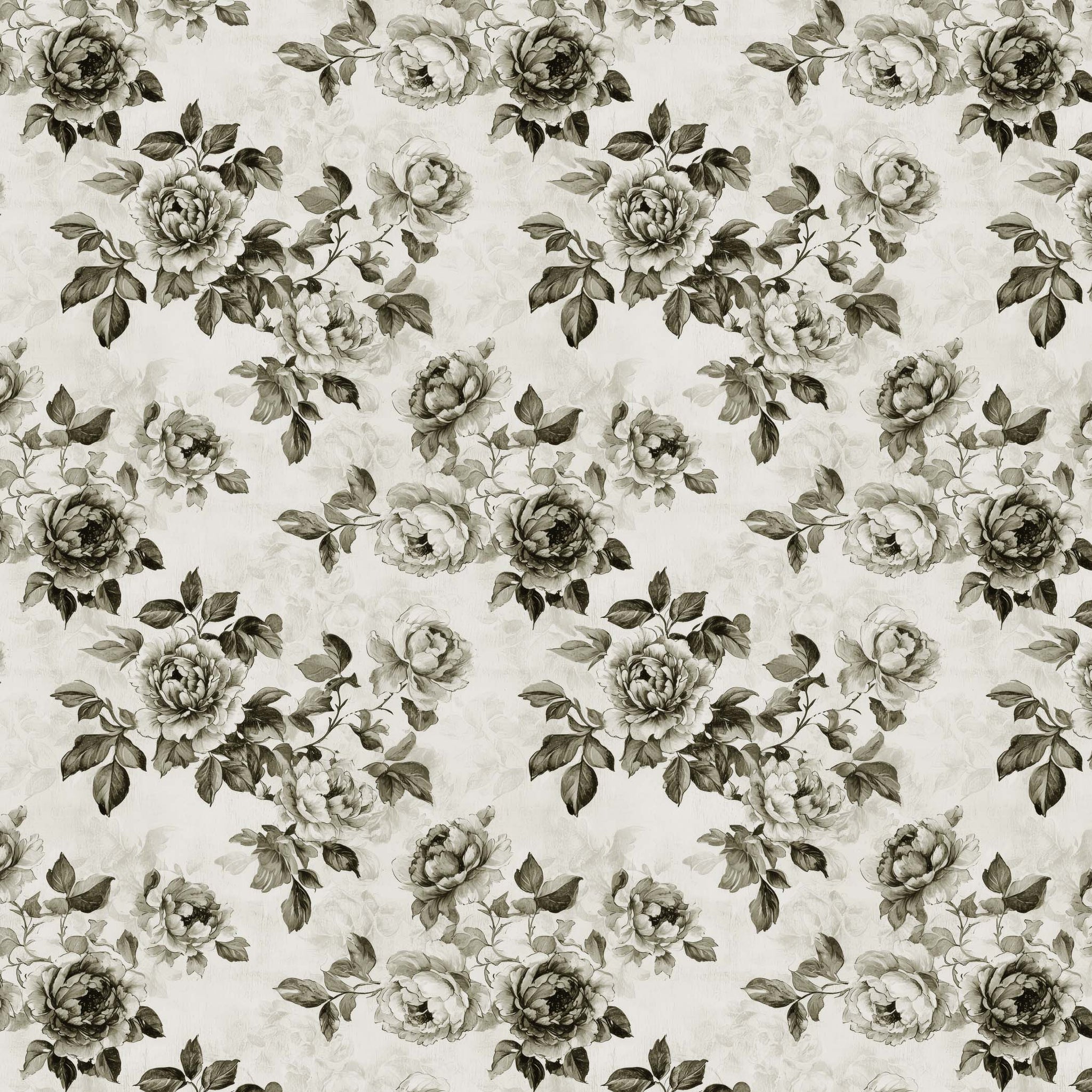 Black and White Floral