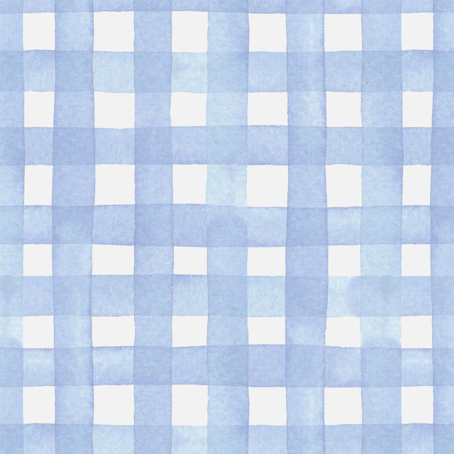 Powder Blue Picnic Gingham