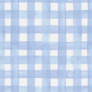 Powder Blue Picnic Gingham