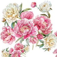 Thumbnail for Limited Edition Clear Pink and White Peony