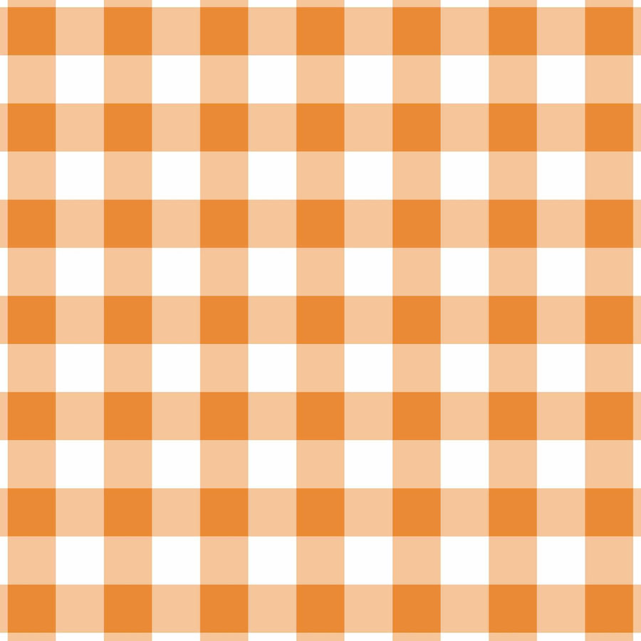 Beau Bottles Orange and White Gingham – Champagne Collection