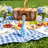 Thumbnail for Powder Blue Picnic Gingham Mini Bottle Wrap Set on Mini La Marca Prosecco