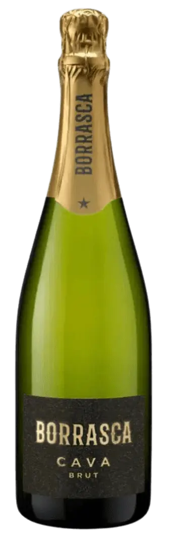 Bottle of Borrasca Cava Brut with gold foil cap on a white background