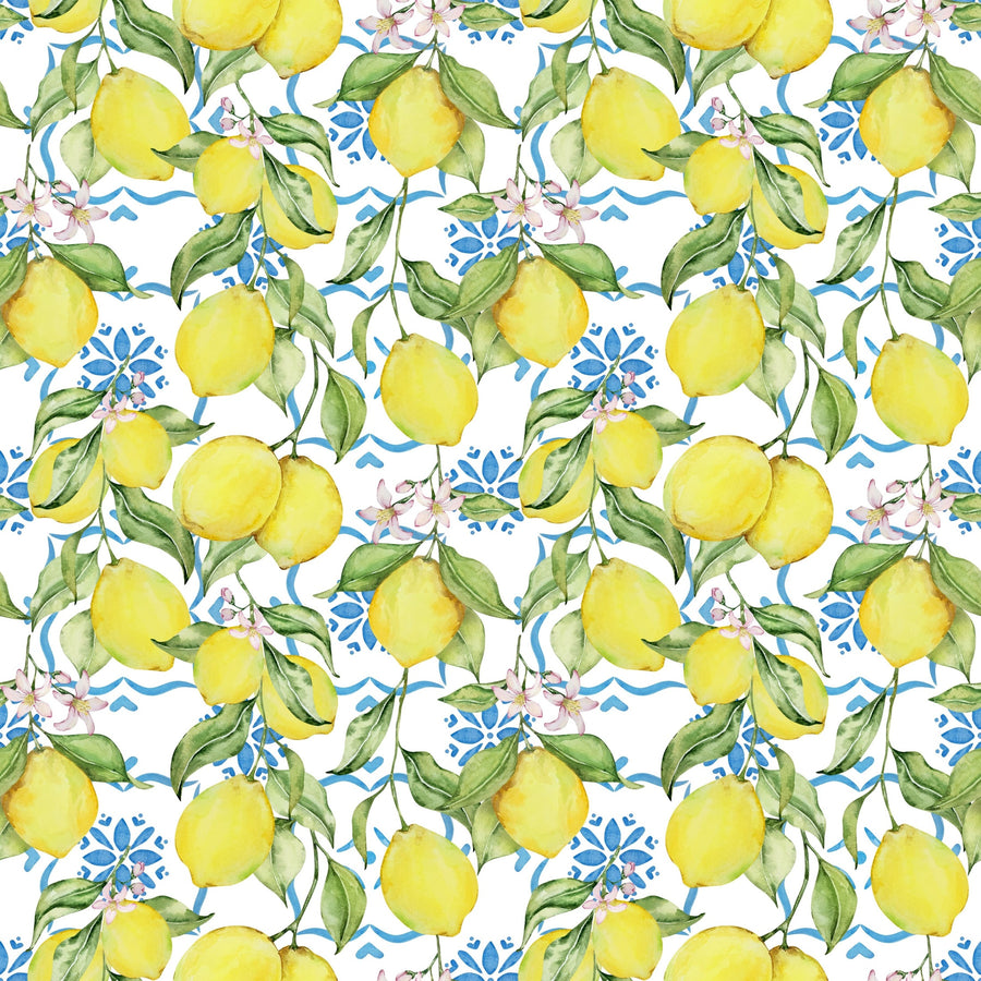 Amalfi Lemon Bottle Wrap on La Marca Prosecco